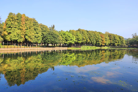 Guangzhou Luhu scenery