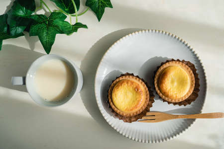 Cheese Tartの写真素材