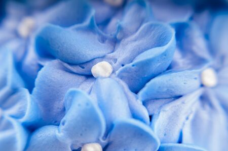 Blue cake frosting detail with decorative flowersの写真素材