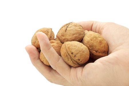 full palm of large walnuts isolated on white backgroundの写真素材