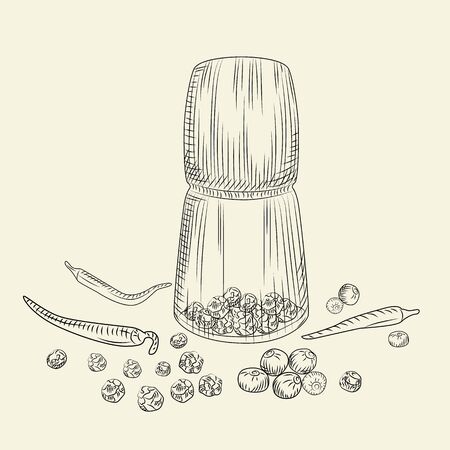 Peppercorn mill concept. Pepper set. Grinder spices and food ingredients. Vintage engraved style. Vector illustrationのイラスト素材