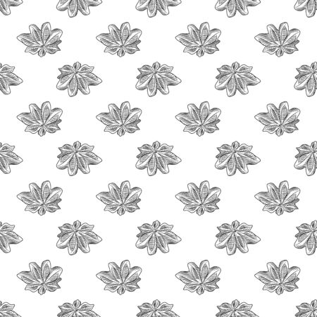 Hand drawn badian seamless pattern on white background. Dry anise backdrop. Engraving vintage style. Vector illustrationのイラスト素材