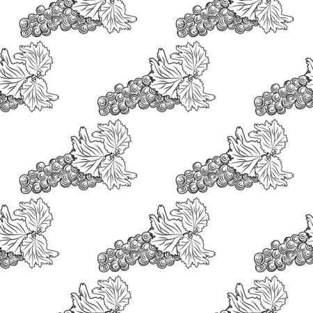 Hand drawn grapes seamless pattern. Bunch of grapes on white background. Fresh fruit monochrome sketch. Design for wrapping paper, textile print. Engraving vintage style backdrop. Vector illustrationのイラスト素材