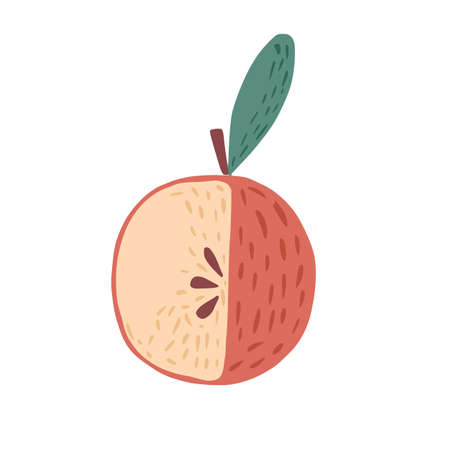 Red apple with a twig and a leaf isolated on white background. Apple with seeds hand drawn in doodle style vector illustration.のイラスト素材