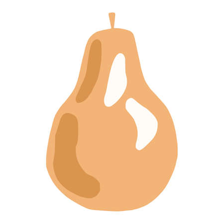 Orange pear with twig and without leaf isolated on white background. Whole pear hand drawn in doodle style vector illustration.のイラスト素材