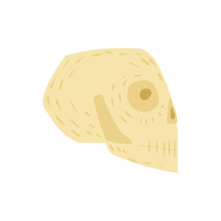Skull isolated on white background. Simple sketch hand drawn in style doodle vector illustration.のイラスト素材
