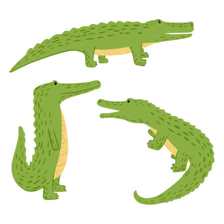 Set crocodiles on white background. Funny cartoon character wildlife in doodle vector illustration.のイラスト素材