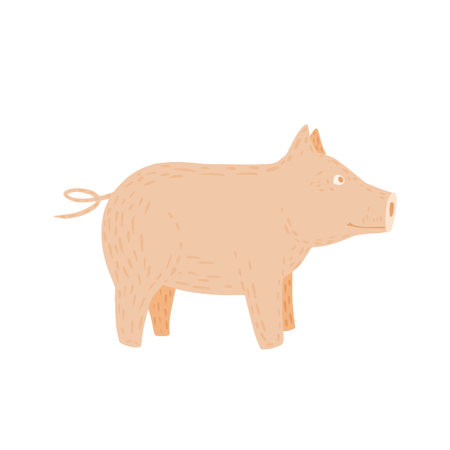 Pig isolated on white background. Funny cartoon character pink color in doodle style vector illustration.のイラスト素材