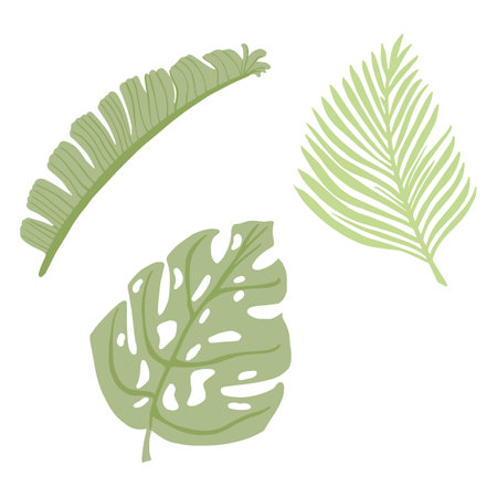 Set tropical leaves isolated on white background. Abstract botanical element monstera, banana, palm green color. Sketch in style doodle vector illustration.のイラスト素材