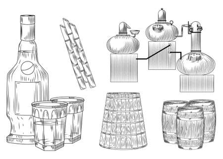 Set Cachaca alcohol in doodle style on white background. Glass and bottle, cane sugar, barrel, alembic. Engraving vintage style black outline vector illustration.のイラスト素材