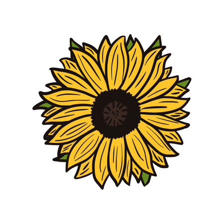 Sinflower with leaves isoleted on white background. Vintage sketch yellow flower. Beautiful summer plant in doodle style. Design vector illustration.のイラスト素材