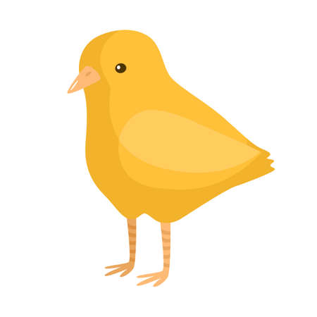 Cute chick isolated on white background. Funny cartoon character farm yellow color. Flat bird for any purposes design. Vector illustration.のイラスト素材