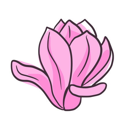 Beautiful japanese magnolia pink isolated on white background. Spring floral bud in doodle style for any purpose. Vector illustration.のイラスト素材