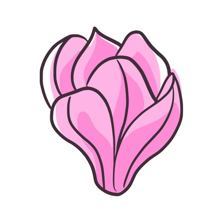 Beautiful japanese magnolia pink isolated on white background. Spring floral bud in doodle line style for any purpose. Vector illustration.のイラスト素材