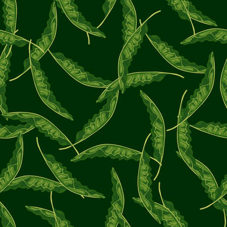 Decorative seamless pattern with green random banana leaves silhouettes. Dark background. Simple style. Flat vector print for textile, fabric, giftwrap, wallpapers. Endless illustration.のイラスト素材