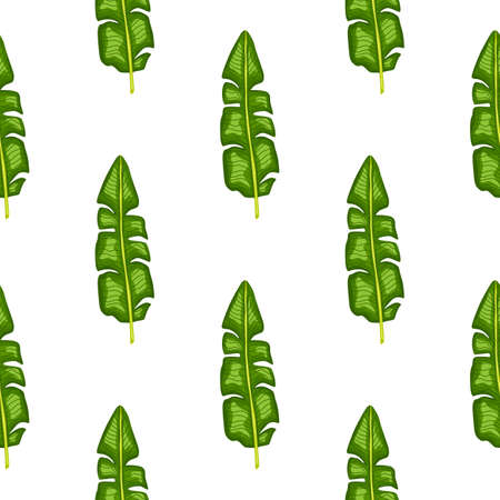 eamless pattern with geometric green tropic banana leaves. White background. Nature print. Graphic design for wrapping paper and fabric textures. Vector Illustration.のイラスト素材
