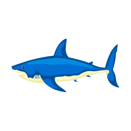 Shark isolated on white background. Cartoon character of ocean for children. Simple kid print fish. Design for any purposes. Vector illustration.のイラスト素材