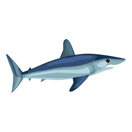 Mako shark isolated on white background. Cartoon character of ocean for children. Simple print with marine mammal. Design for any purposes. Vector illustration.のイラスト素材