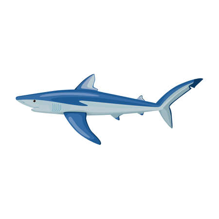 Blue shark isolated on white background. Cartoon character of ocean for children. Simple print with marine mammal. Design for any purposes. Vector illustration.のイラスト素材