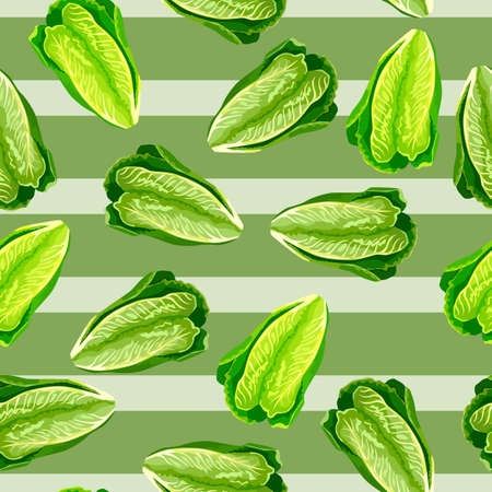 Seamless pattern lettuce Romano on stripe green background. Beautiful texture with salad. Random plant template for fabric. Design vector illustration.のイラスト素材