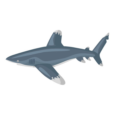 Oceanic whitetip shark isolated on white background. Cartoon character of ocean for children. Simple print with marine mammal. Design for any purposes. Vector illustration.のイラスト素材
