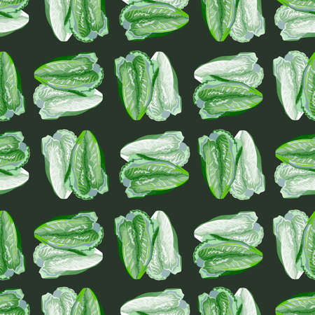 Seamless pattern salad Romano on dark background. Simple ornament with lettuce. Geometrical plant template for fabric. Design vector illustration.のイラスト素材