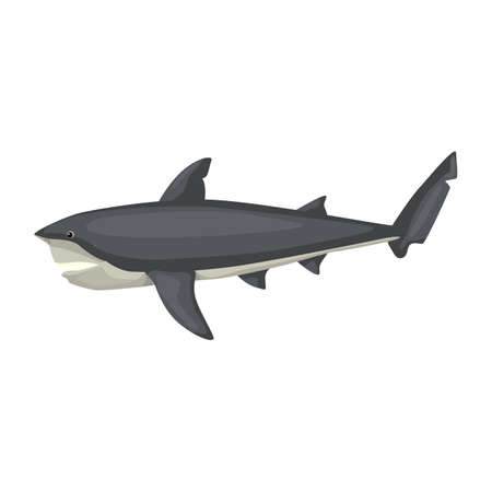 Bull shark isolated on white background. Cartoon character of ocean for children. Simple print with marine mammal. Design for any purposes. Vector illustration.のイラスト素材