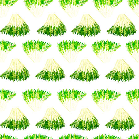 Seamless pattern frisee salad on white background. Simple ornament with lettuce. Geometric plant template for fabric. Design vector illustration.のイラスト素材
