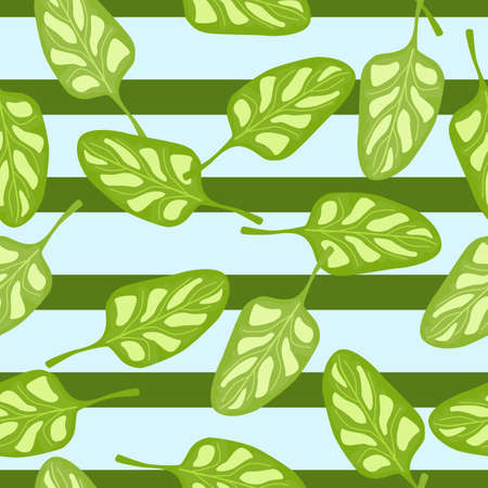 Seamless pattern Spinach salad on blue striped background. Modern ornament with lettuce. Random plant template for fabric. Design vector illustration.のイラスト素材