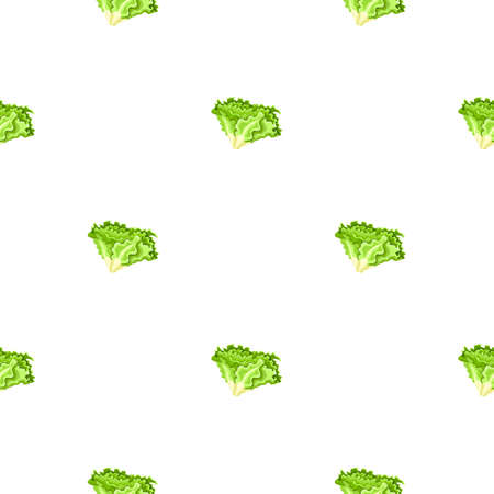 Seamless pattern Batavia salad on white background. Minimalistic ornament with lettuce. Geometric plant template for fabric. Design vector illustration.のイラスト素材