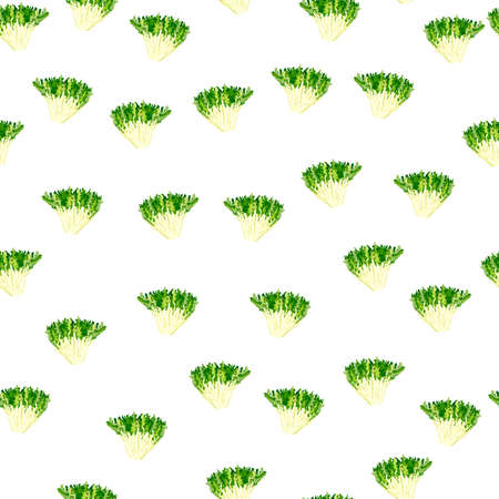 Seamless pattern frisee salad on white background. Simple ornament with lettuce. Random plant template for fabric. Design vector illustration.のイラスト素材