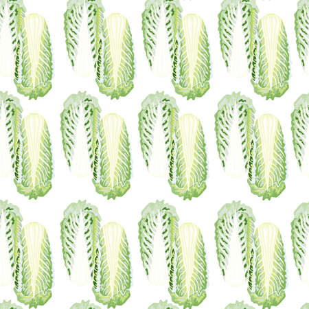 Seamless pattern Chinese cabbage on white background. Simple ornament with lettuce. Geometric plant template for fabric. Design vector illustration.のイラスト素材