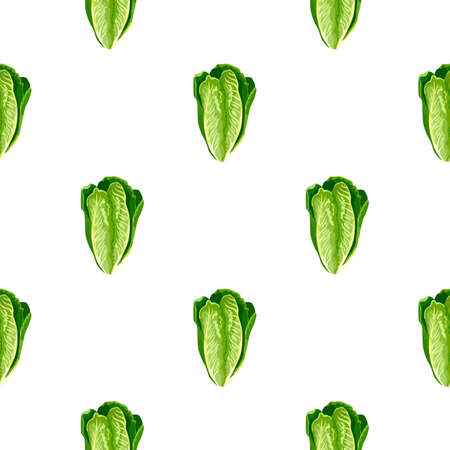 Seamless pattern salad Romano on white background. Minimalism ornament with lettuce. Geometrical plant template for fabric. Design vector illustration.のイラスト素材