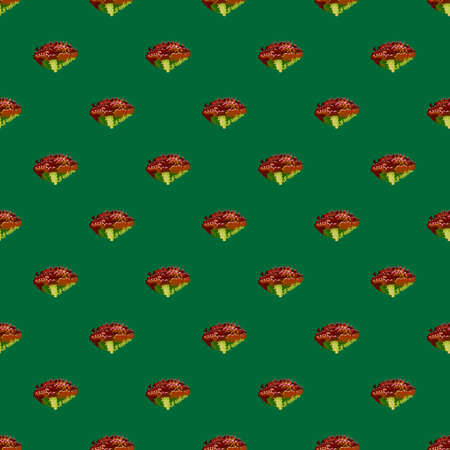 Seamless pattern lola rosa salad on teal background. Modern ornament with lettuce. Geometric plant template for fabric. Design vector illustration.のイラスト素材
