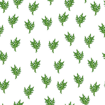 Seamless pattern bunch arugula salad on white background. Simple ornament with lettuce. Random plant template for fabric. Design vector illustration.のイラスト素材