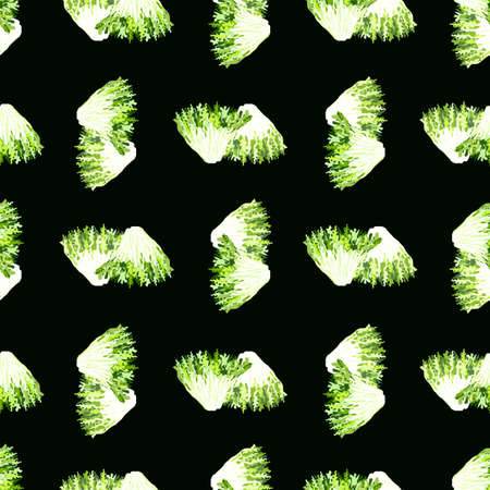 Seamless pattern frisee salad on black background. Simple ornament with lettuce. Geometric plant template for fabric. Design vector illustration.のイラスト素材