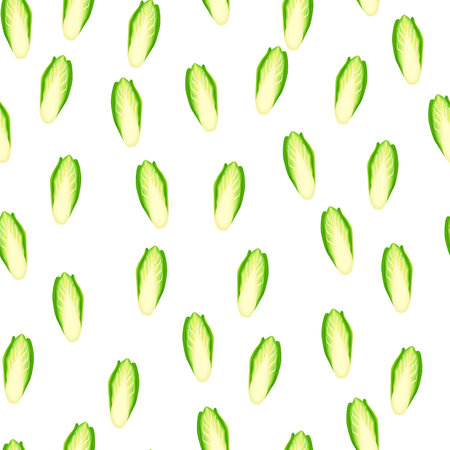 Seamless pattern Chicory cabbage on white background. Minimalism ornament with lettuce. Random plant template for fabric. Design vector illustration.のイラスト素材
