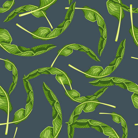Seamless pattern banana leaf on gray background. Beautiful ornament summer tropical leaf. Random texture template for fabric. Design vector illustration.のイラスト素材