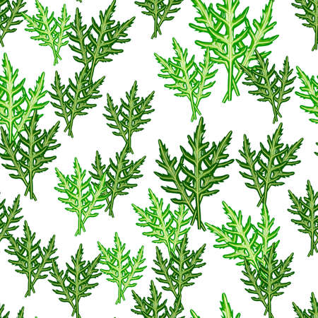 Seamless pattern bunch arugula salad on white background. Modern ornament with lettuce. Random plant template for fabric. Design vector illustration.のイラスト素材