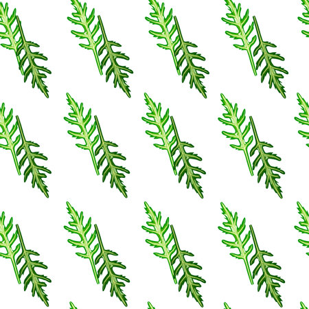 Seamless pattern bunch arugula salad on white background. Modern ornament with lettuce. Geometric plant template for fabric. Design vector illustration.のイラスト素材