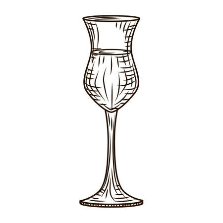 Full glass pisco engraved style isolated on white background. Vintage sketch black outline close up. Vector illustration designのイラスト素材