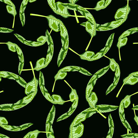 Seamless pattern banana leaf on black background. Beautiful ornament summer tropical leaf. Random texture template for fabric. Design vector illustration.のイラスト素材
