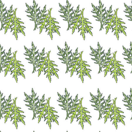 Seamless pattern bunch arugula salad on white background. Simple ornament with lettuce. Geometric plant template for fabric. Design vector illustration.のイラスト素材