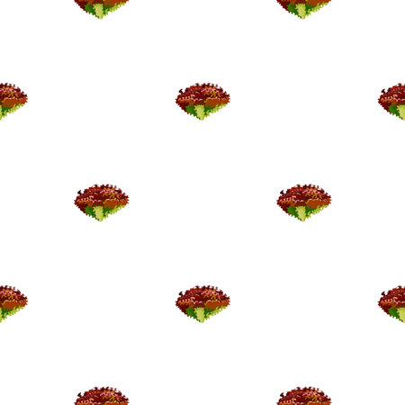 Seamless pattern lola rosa salad on white background. Simple ornament with lettuce. Geometric plant...