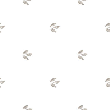 Seamless pattern cardamom on white background. Cute plant sketch ornament. Geometrical texture template for fabric. Design vector illustration.のイラスト素材