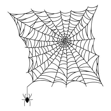 Spider web isolated on white background. Spooky cobwebs with spiders. Outline vector illustration. Design element.のイラスト素材