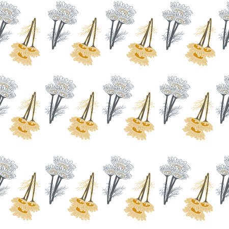 Seamless pattern chamomile on white background. Beautiful ornament summer yellow flowers. Geometrical texture template for fabric. Design vector illustration.の写真素材