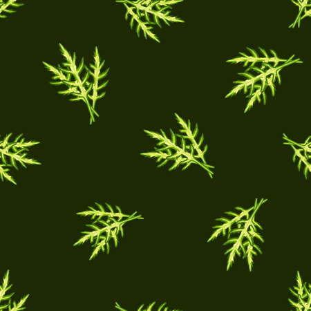 Seamless pattern bunch arugula salad on dark green background. Simple ornament with lettuce. Random plant template for fabric. Design vector illustration.のイラスト素材
