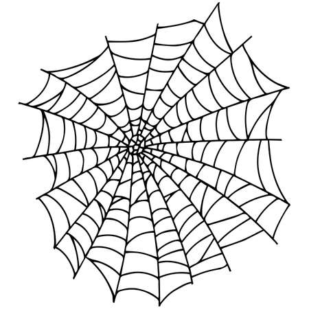 Spider web isolated on white background. Spooky cobwebs. Outline vector illustration. Design element.のイラスト素材