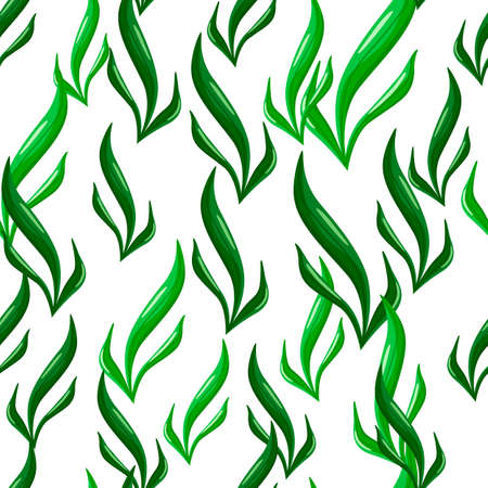 Seamless pattern seaweed on white background. Marine flora templates for fabric. Design vector illustration. For seasonal textile prints, banners, backdrops and wallpapers.のイラスト素材